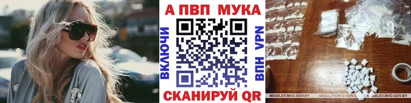 A PVP СК Бердск