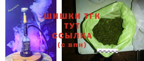 гидра Елизово