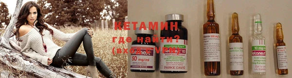 гидра Елизово
