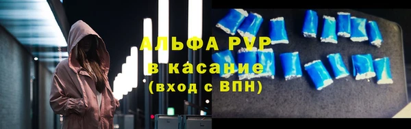 гидра Елизово