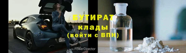 гидра Елизово