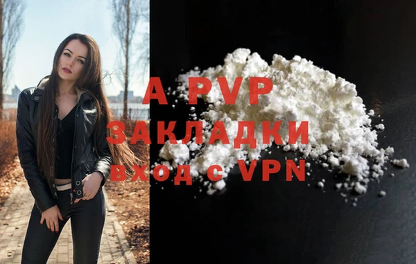 гидра Елизово
