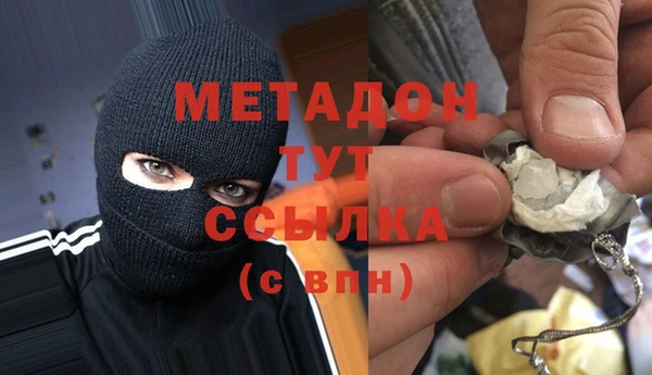 гидра Елизово