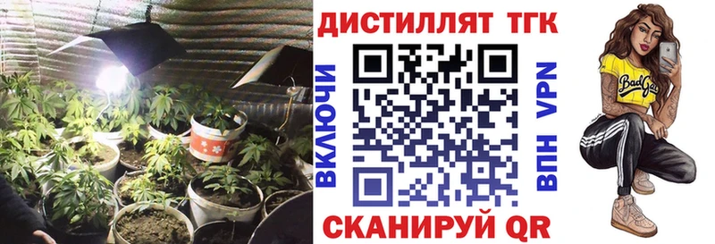 наркота  Бердск  Дистиллят ТГК THC oil 