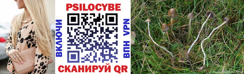 хочу   Бердск  OMG как войти  Псилоцибиновые грибы Magic Shrooms 