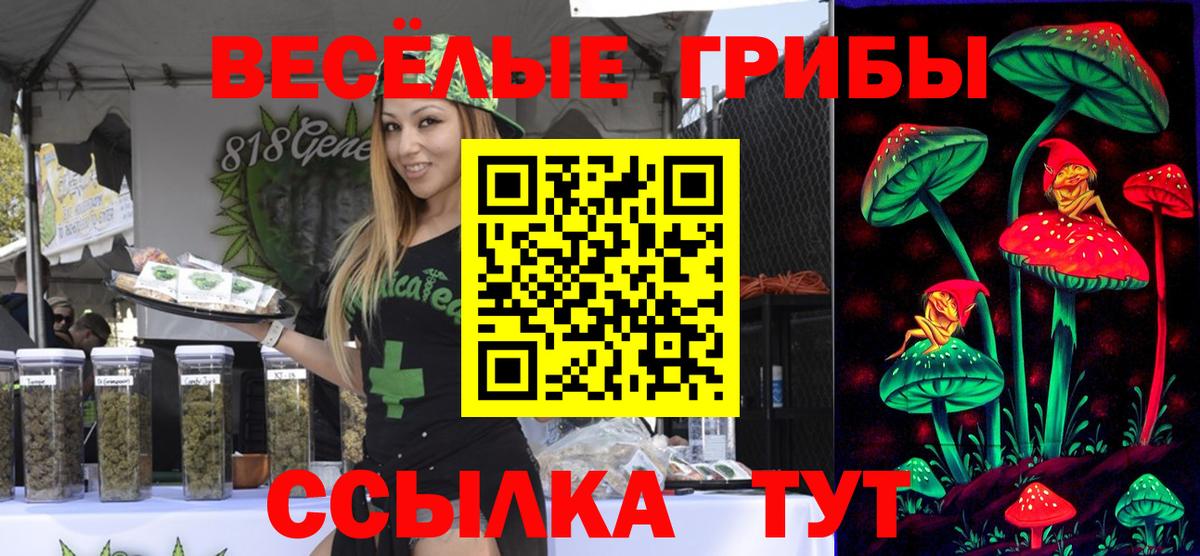 Меф МЯУ МЯУ   Бердск  ТГК  ГАШ  MDMA  ГАШИШ  Вход с VPN  Каннабис  Альфа ПВП СОЛЬ кристаллы 